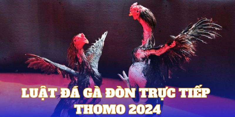 Luật đá gà đòn trực tiếp Thomo mới nhất 